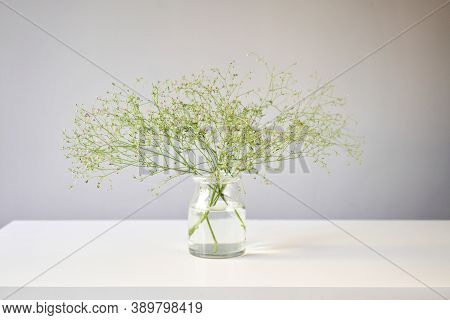 Bouquet 006, Step By Step Installation Of Flowers In A Vase. Flowers Bunch, Set For Home. Fresh Cut 