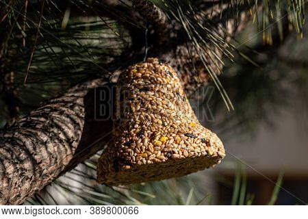 Bell From Various Grains, A Delicacy For All The Birds In The Garden