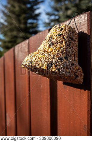 Bell From Various Grains, A Delicacy For All The Birds In The Garden