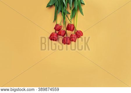 Bouquet Of Red Tulips Isolated On Yellow Background. Top View, Flat Lay With Copy Space.
