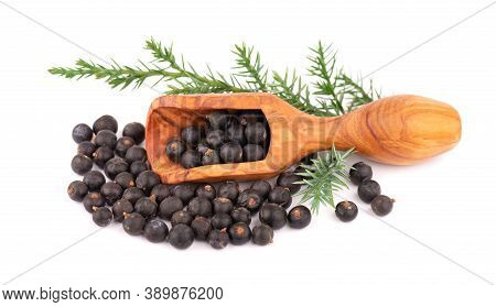 Dry Juniper Berries With A Green Branch, Isolated On White Background. Common Juniper Fruits In Wood