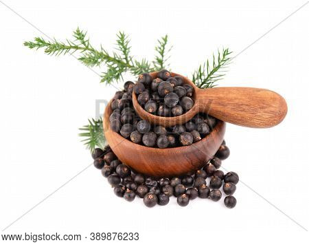 Dry Juniper Berries With A Green Branch, Isolated On White Background. Common Juniper Fruits In Wood