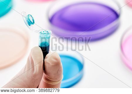 Eppendorf Tube With Blue Liquid In The Hand Of Scientist On The Background Of Petri Dishes For Micro
