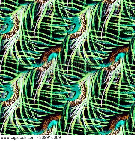 Rainbow Peacock Wallpaper. Colorful Fabric