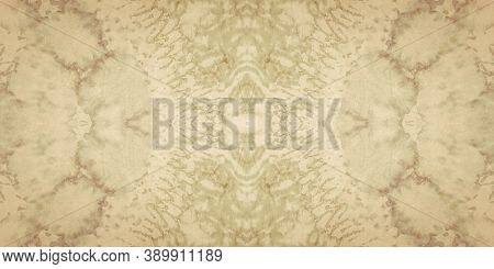 Snakeskin Patterns. Brown Safari Style. Brown