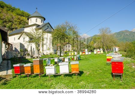 Moraca monastery, Montenegro - apiary