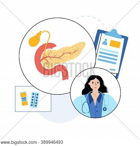 Pancreas, Duodenum And Gallbladder Anatomy In The Human Body. Digestive System Concept And Gastroint