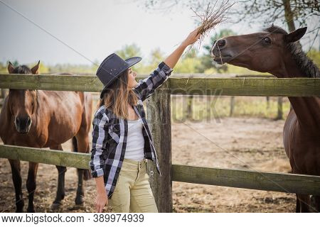 American Woman On A Horse Farm. Portrait Of Girl In Cowboy Hat With A Horses. Hippotherapy At Nature