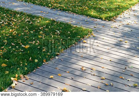 Colorful Fallen Autumn Leaves On Green Grass Field Or Lawn. Season, Nature, Autumn Card, Thanksgivin