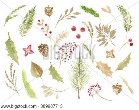 Christmas Boho Clipart. Watercolor Winter Floral Set Holiday Branches, Leaves, Cones, Berries, Conif