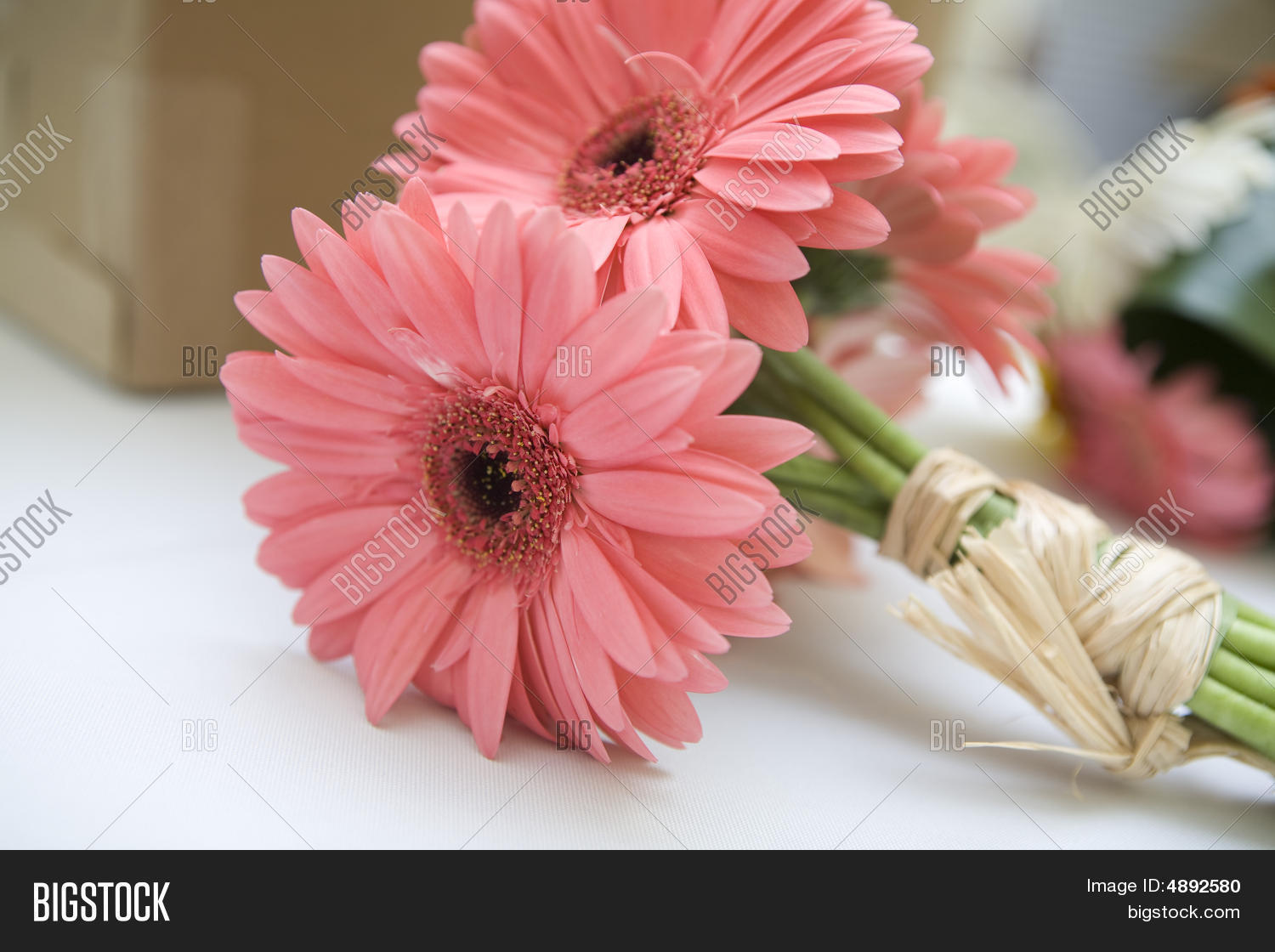 Pink Daisy Bouquet Image & Photo (Free Trial) | Bigstock
