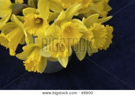 水仙の花
