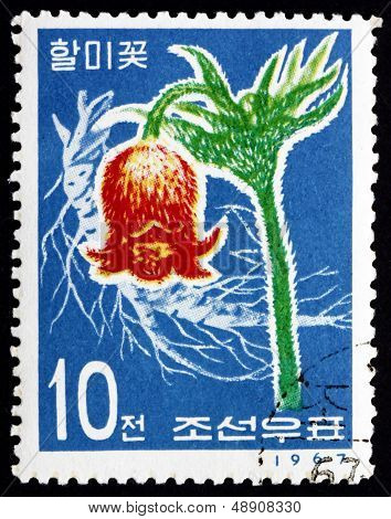 Postage Stamp North Korea 1967 Korean Pasque Flower