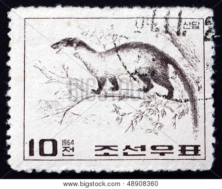 Postage Stamp North Korea 1964 Yellow-throated Marten