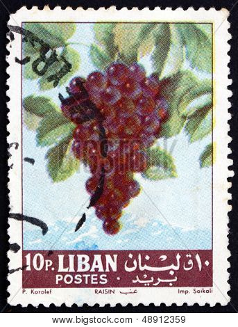 Postage Stamp Lebanon 1962 Grapes, Fruiting Berry
