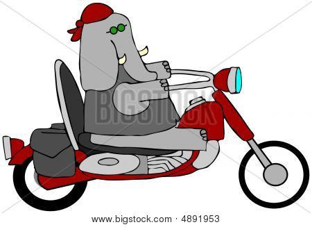 Éléphant Biker