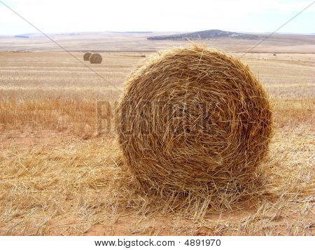 Balas en un campo