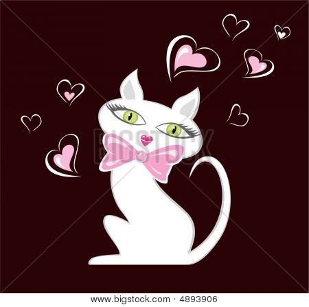 Gato apaixonado
