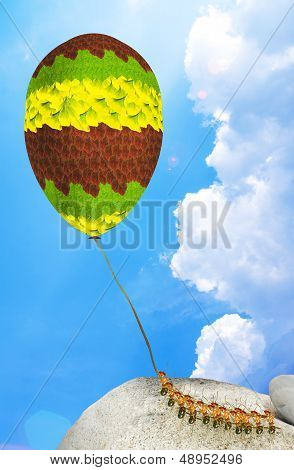 Ants And Balloons