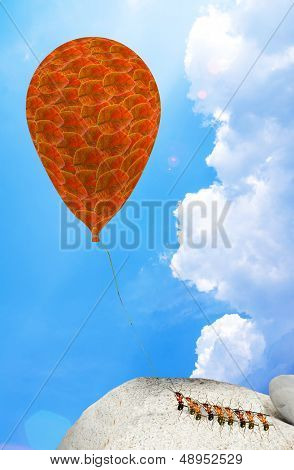 Ants And Balloons