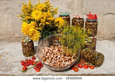 Still Life With Yellow Flowers And Raw And Pickled Mushroms Honey Agaric