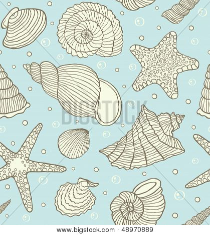 Ocean Shells