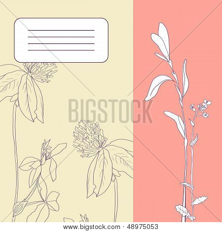 Herbal card