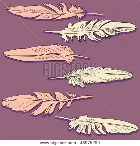 pink and pale yellow feathers