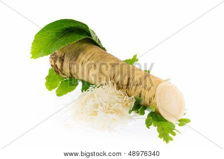 Horseradish, Grated Horseradish And Radish Leaves