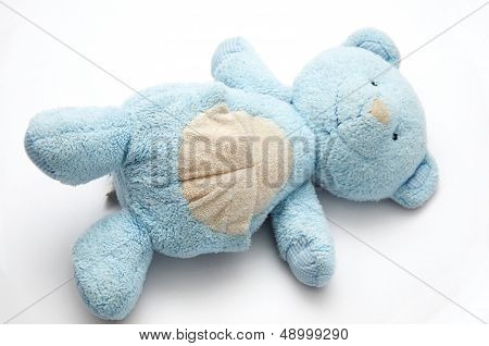 blue bear