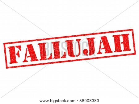Fallujah