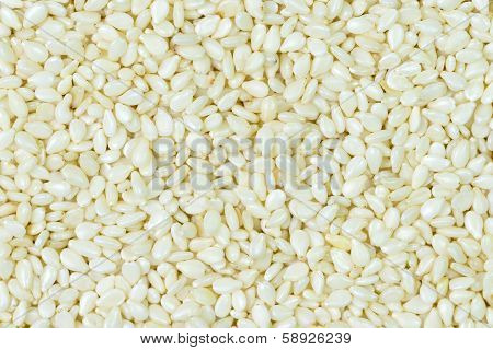White Sesame
