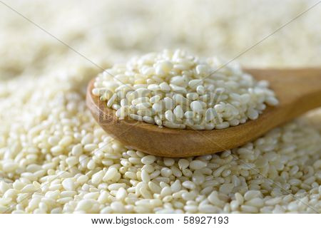 White Sesame