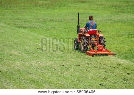 Man On Mower Cutting Grass