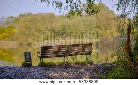 Bench in the shade
