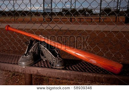 A Day At The Ballfield