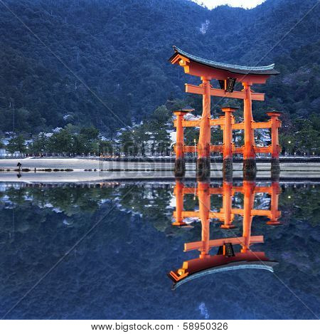 Tori reflection in Japan