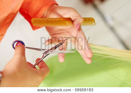 Hair Salon. Women`s Haircut. Cutting.