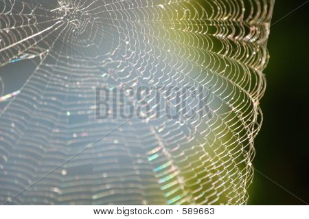 Web