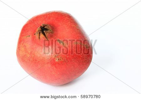Pomegranate