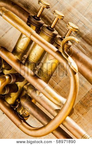 Trumpet
