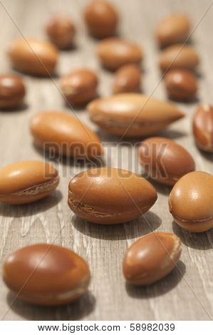 Seeds Of Argan A Close Up On Wood