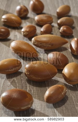 Seeds Of Argan A Close Up On Wood