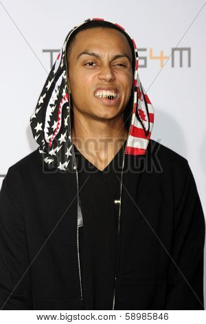 LOS ANGELES - JAN 23:  Sebastian Mikael at the Annual Trans4m Benefit Concert at Avalon on January 23, 2014 in Los Angeles, CA