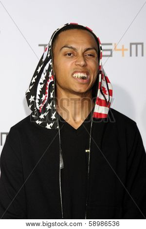 LOS ANGELES - JAN 23:  Sebastian Mikael at the Annual Trans4m Benefit Concert at Avalon on January 23, 2014 in Los Angeles, CA