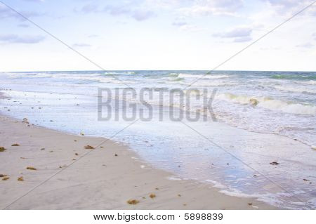 열 대 해변