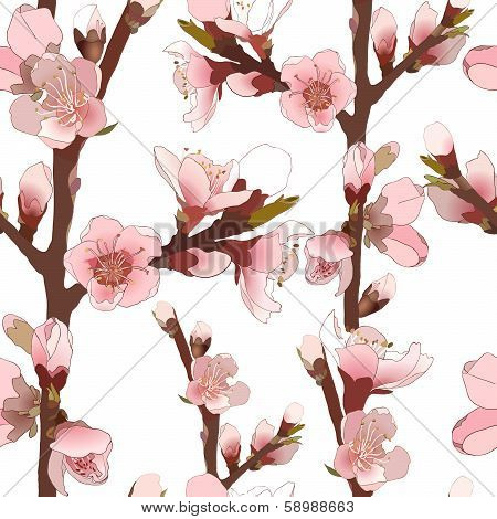 Seamless Pattern With Blossoming Pink Flowers.