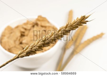 Wheat And Bowl Of Sweet Corn Flakes