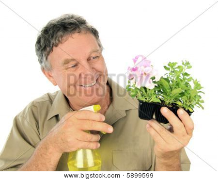 Nurseryman spreje sazenice