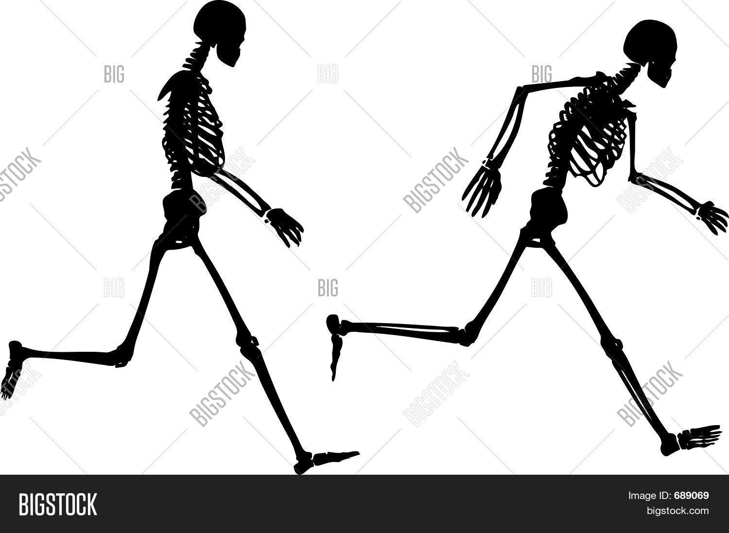 Running Skeletons Image & Photo (Free Trial) Bigstock